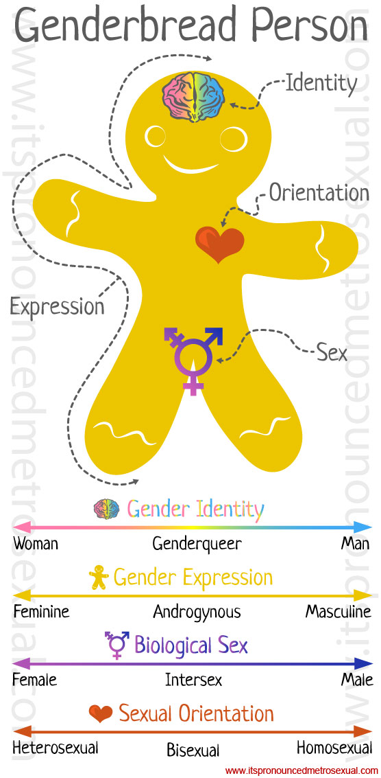 Genderbread gender identity graphic